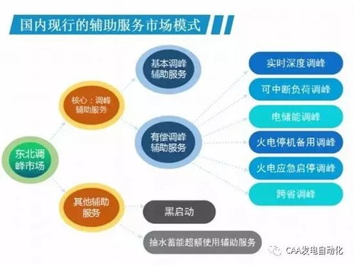 我國現行的電力輔助服務市場模式及展望——兼論計算機軟硬件零售的潛在賦能